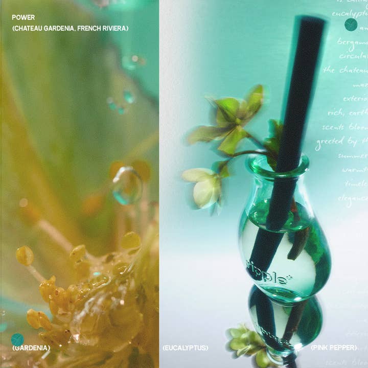 ripple⁺ home - Wholesale Reed Diffuser - Gardenia Scented Reed Diffuser | 150ml | Luxury Scents