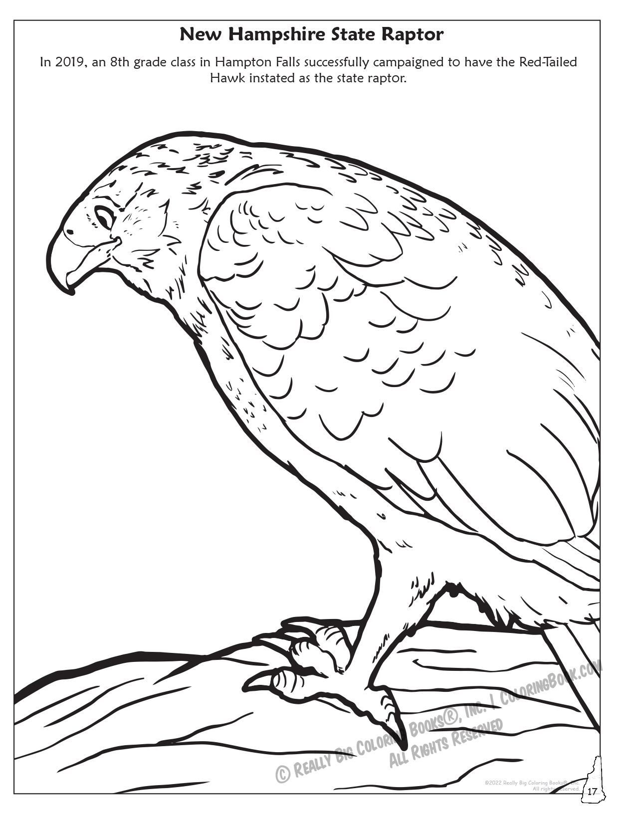 Really Big Coloring Books | ColoringBook.com - Vendita all'ingrosso Libro da colorare e attività - Bambini e neonati - Libro da colorare dello Stato del New Hampshire 8,5 x 114