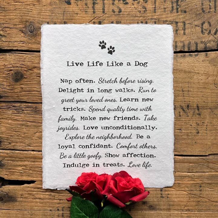 Live Life Like a Dog print on handmade paper for wholesale by Alison Rose Vintage