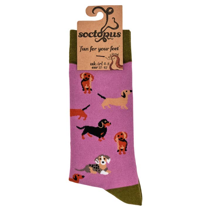 Socktopus - Wholesale Socks - Unisex - Sausage Dog Socks - Dasching Around 24