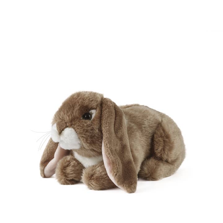 LIVING NATURE Lop Eared Rabbit Dark Brown for wholesale by Living Nature