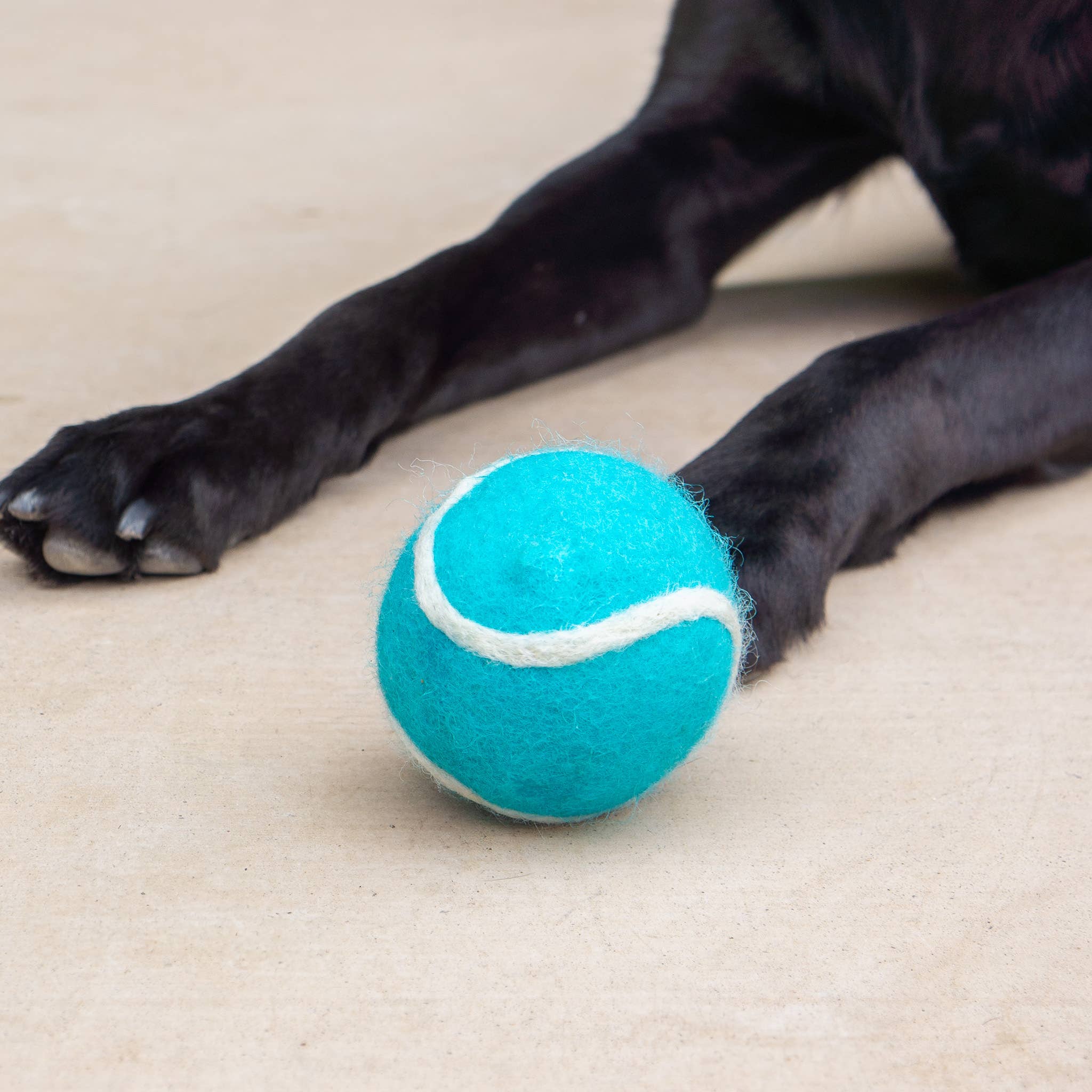 Friendsheep – wholesale Pet fetch ball – Dog – Pet Toy Tennis Wool Ball - Set of 2 - Dog Cat - TEAL & GREEN9