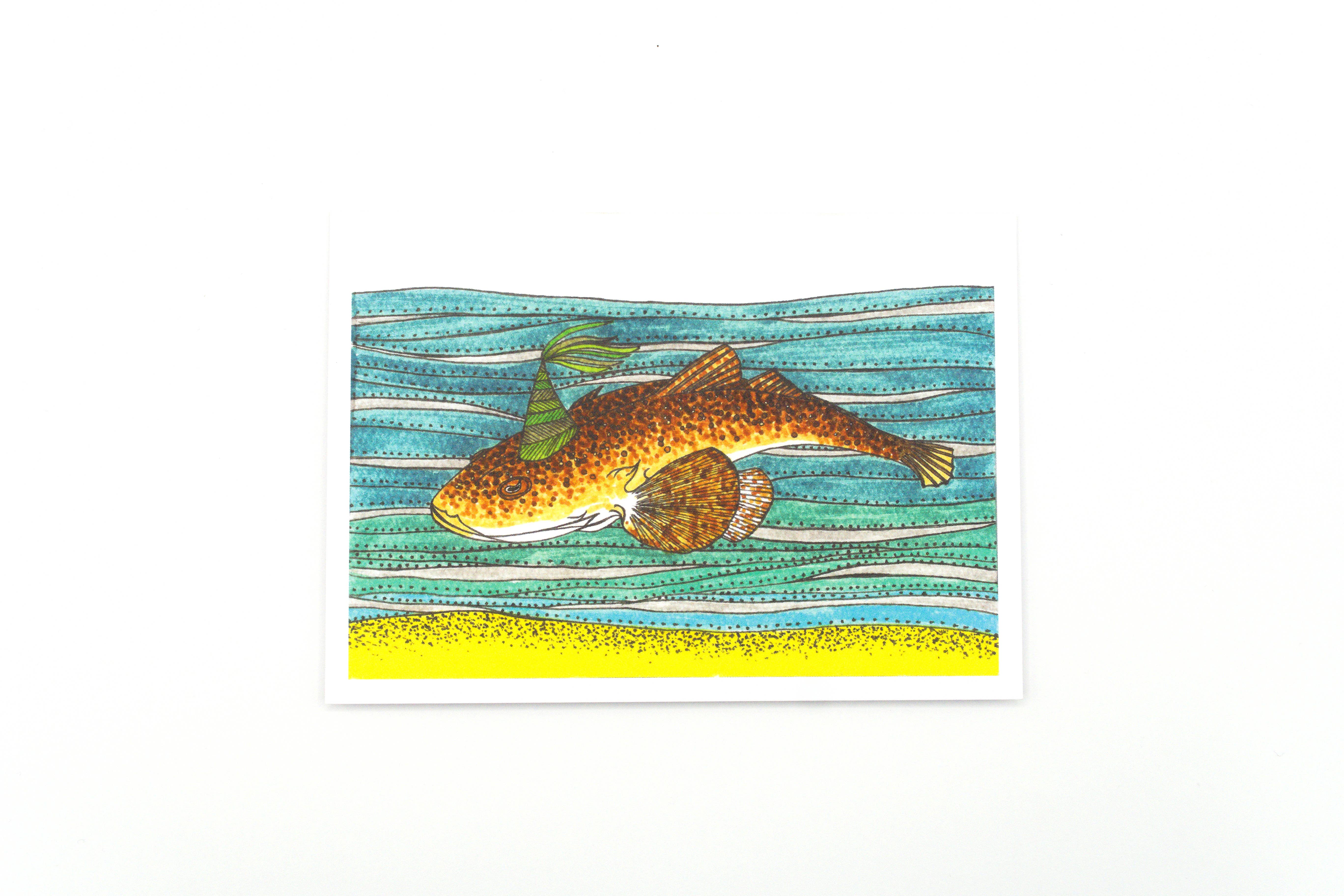 Sunshine Sea Art - Wholesale Birthday Card - Flathead Fish Greeting Card Australian Native Birthday Card5