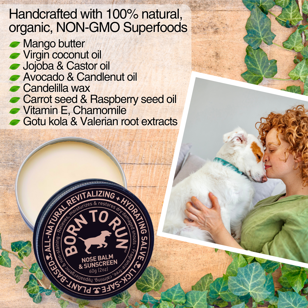 BORN TO RUN DOGS - Wholesale Pet Balm - Dog - Healing Soothing NOSE BALM & Cold Wind Sun Protection 60g6