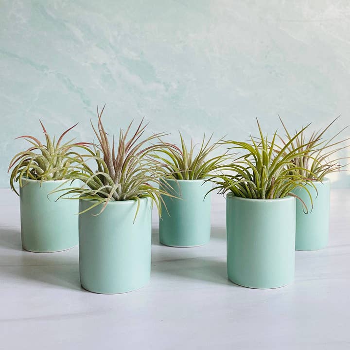 Porte-plante en céramique Aqua Blue pour la vente par The Simply Crafty Shop