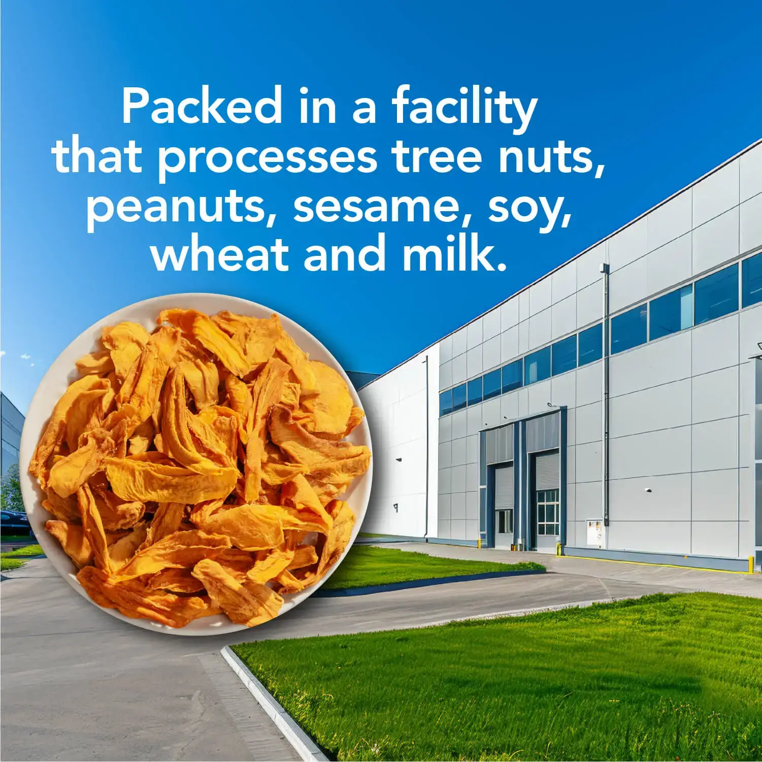 Earthside Farms - Wholesale Dried/Dehydrated Fruit - Dried Organic Mangoes, Dried Fruit 1.23 oz5