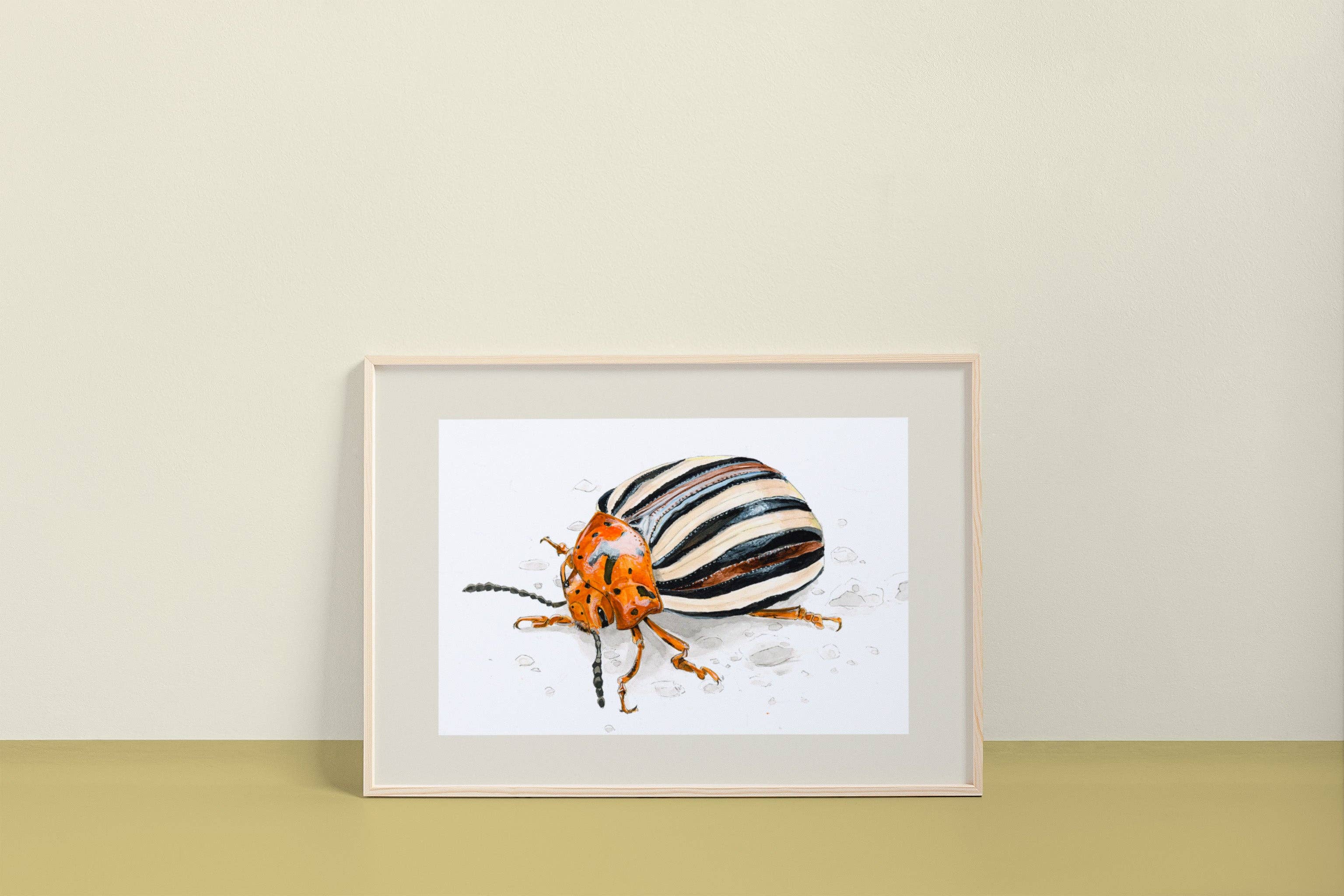 resetreality - Wholesale Art Print - False Potato Beetle (Leptinotarsa juncta) Art Print0