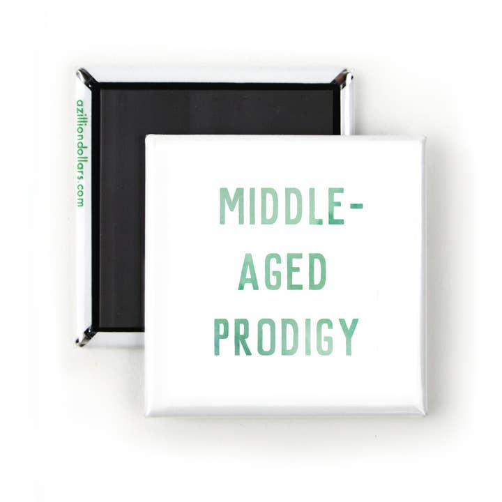 A Zillion Dollars - Wholesale Magnet - Middle-Aged Prodigy; Funny Magnet; Funny Sarcastic Quotes; Comic Art; Gift For Artists; Musicians; Actors; Writers; Cute Stocking Stuffer