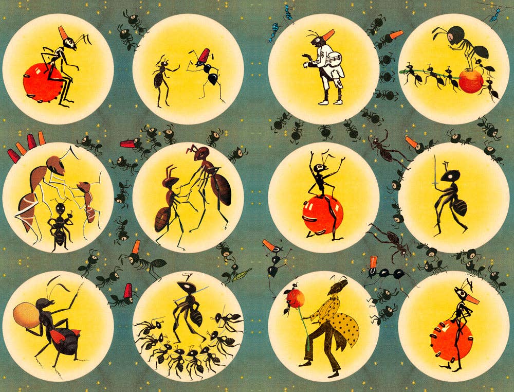 50 Watts - Wholesale Display Book - Anthropomorphic Japan - The Insects - paperback book7