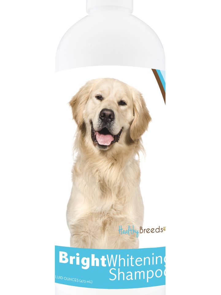 Golden Retriever Bright Whitening Shampoo 12 oz for wholesale by Healthy Breeds