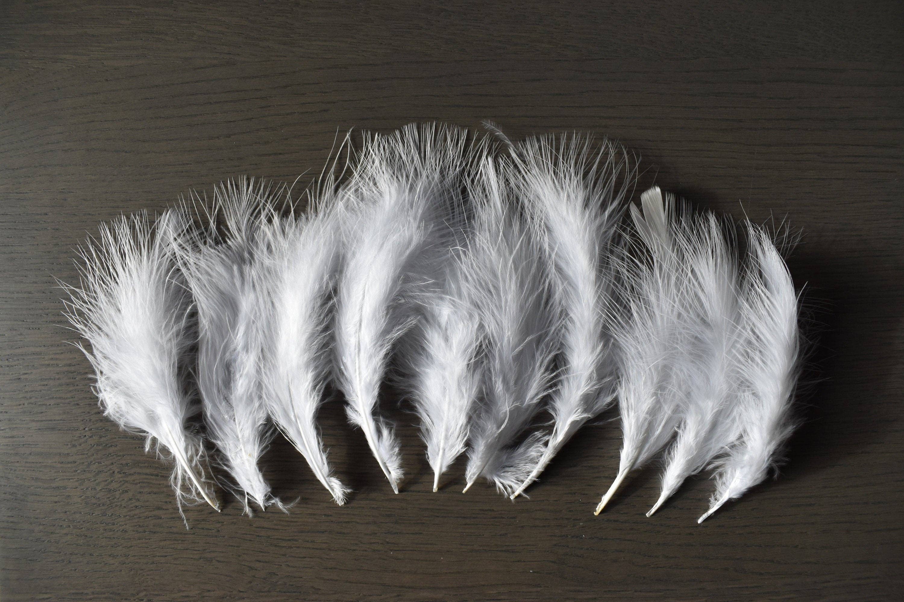 Plumes Naturelles - Wholesale Feathers - Ostrich feathers2