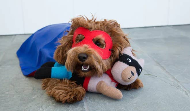 Jax & Bones - Wholesale Pet Squeaky Toy - Dog - Big Lou the Dog Wool Dog Squeak Toy (One Size)2