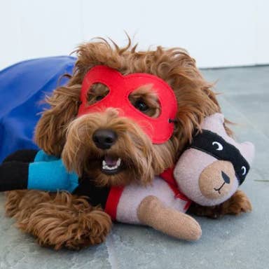 Jax & Bones - Wholesale Pet Squeaky Toy - Dog - Big Lou the Dog Wool Dog Squeak Toy (One Size)2