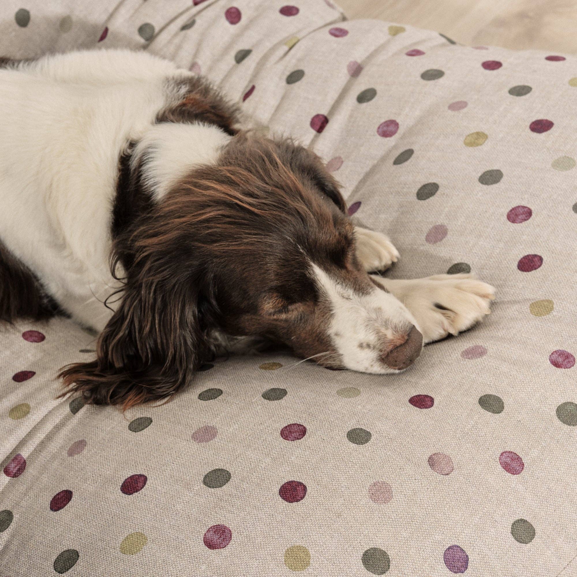 SG HOGAR – wholesale Husdjursbädd – Hund – Fläckbeständig vadderad sovplats i bomull för hund och katt 0119-192
