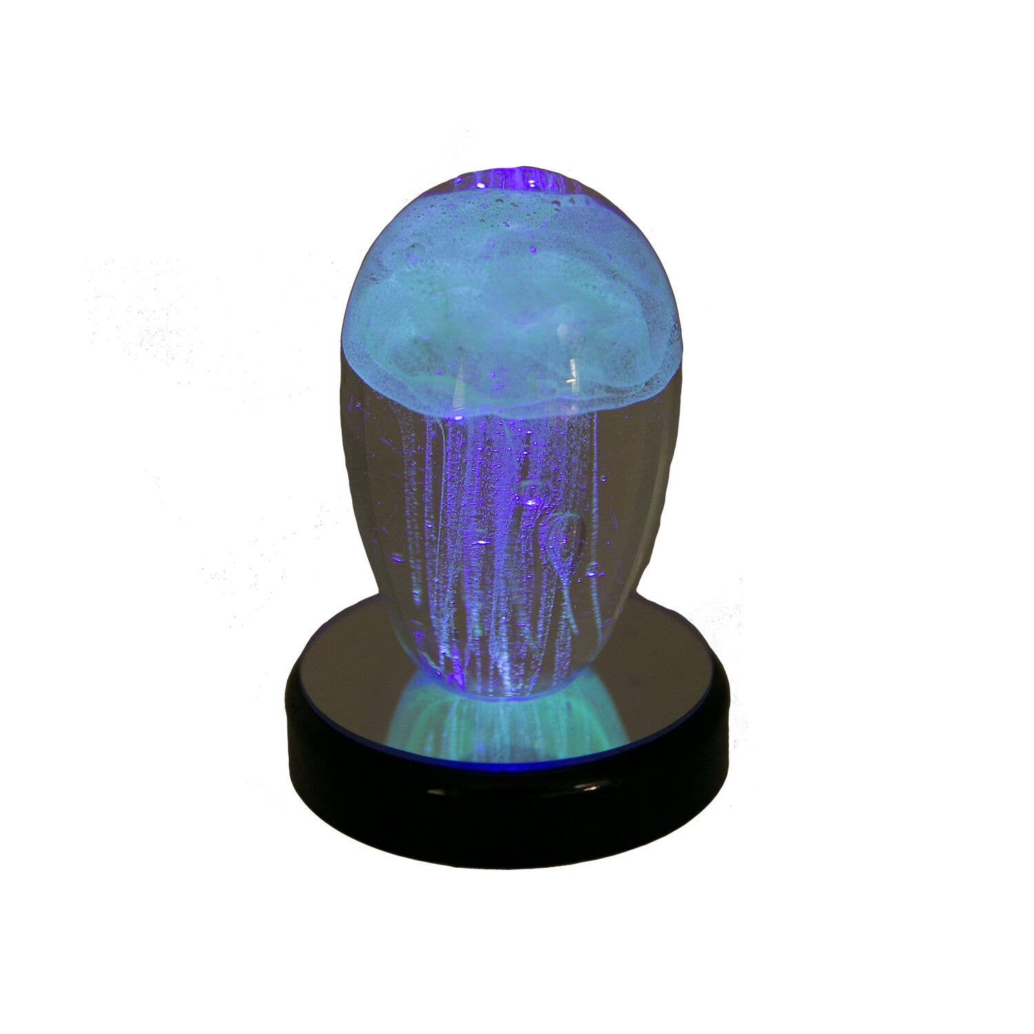 Beachcombers - Wholesale Decorative Tabletop Object - SALE 4 Color Rotating Base2