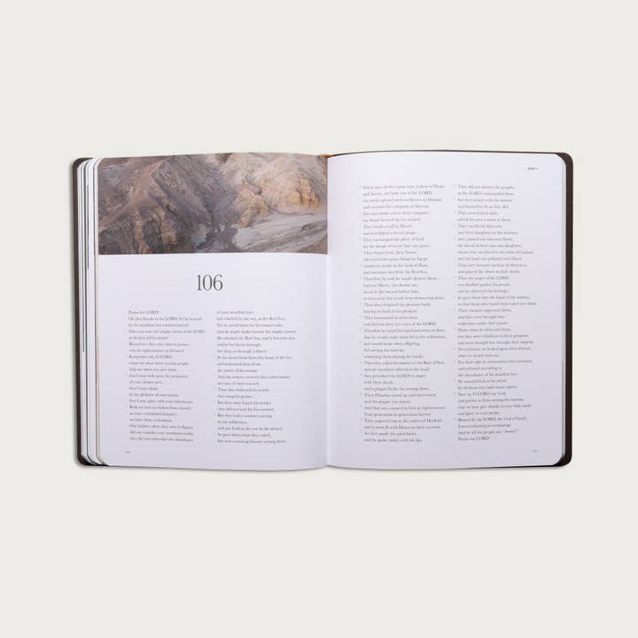 Alabaster Co - Vente Livre sur la religion - Le livre des psaumes3