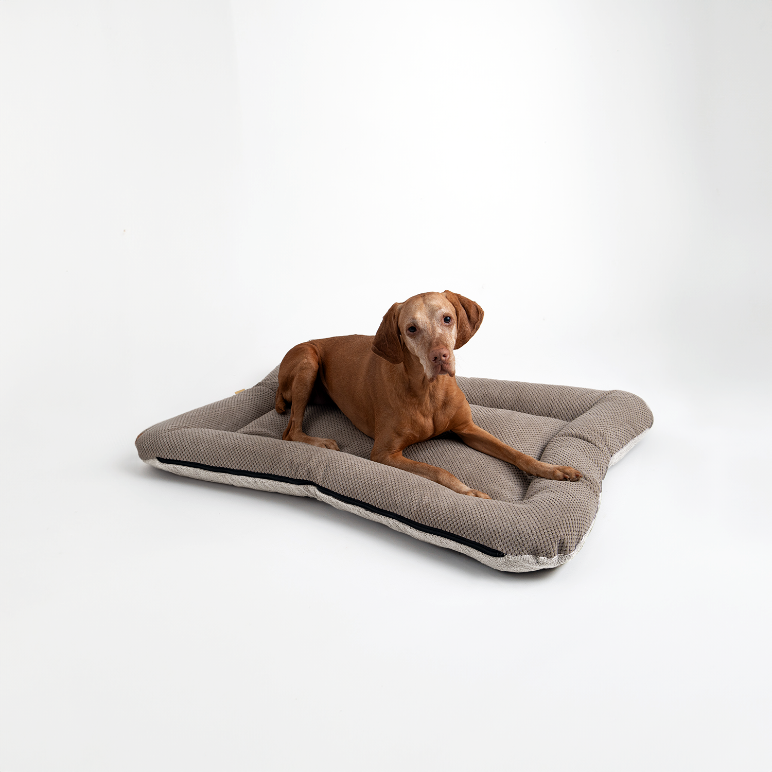 Snoozer Pet Products - Vendita all'ingrosso Letto - Cani - Cuccia per Cani All Day di Snoozer7