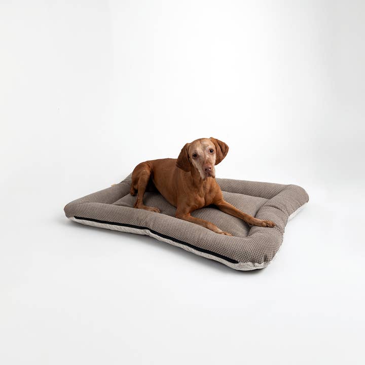 Snoozer Pet Products - Vendita all'ingrosso Letto - Cani - Cuccia per Cani All Day di Snoozer7