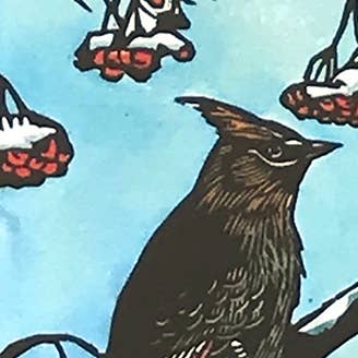 Claire Emery Art - Vente Carte de vœux classique - Waxwings - Plasser au soleil Carte3