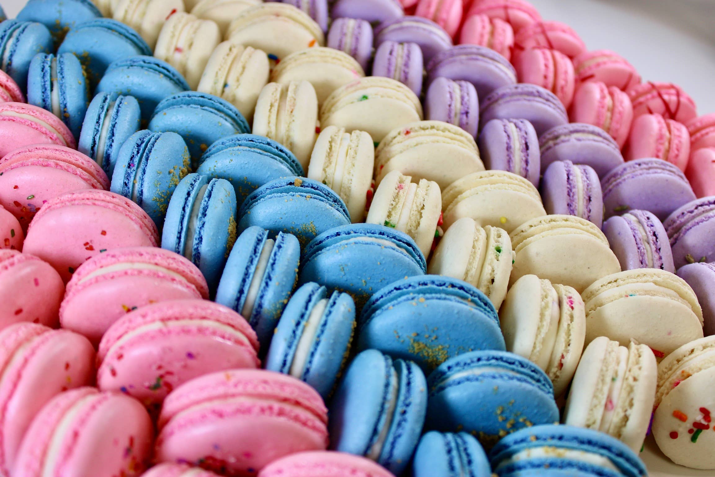 Savor Patisserie - Wholesale Cookie - The Unicorn Collection - (100) Bulk French Macarons4