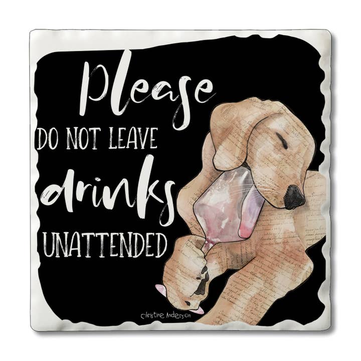 CounterArt/Highland Home/Thirstystone/CoasterStone - Wholesale Retailer Display - Home & Living - Naughty Pets Pre-Packed Single Coaster Display