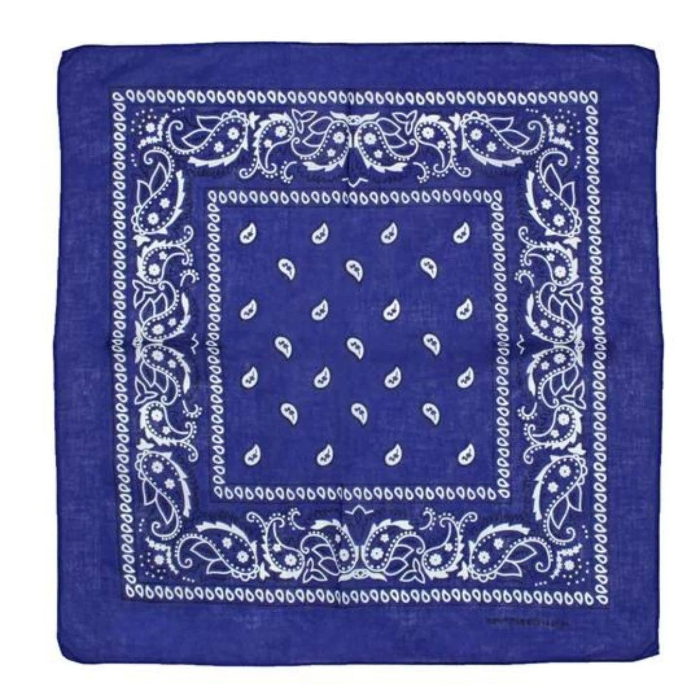Topkids Accessories - Wholesale Bandana - Unisex - Paisley Bandanas Hair Bands Headbands Women Men Dogs Head Bands Festival Bike Accessories Face Masks Holiday Essentials Head Scarf15