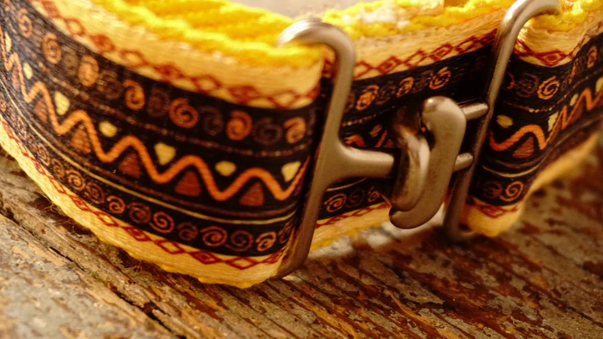 hundsfutter - Vente Collier – chien - Collier large jaune pour chiens1