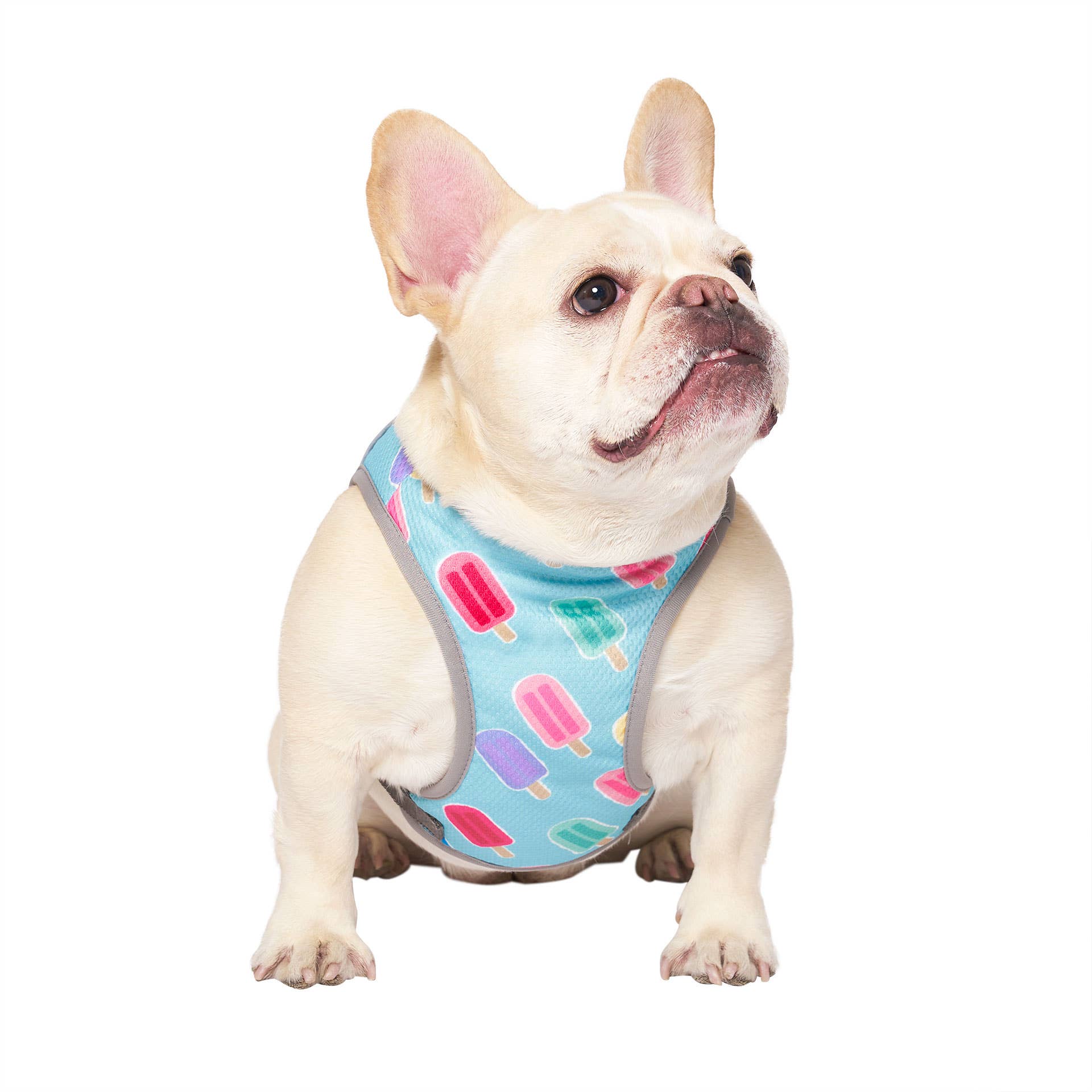 Popsicles Chill Seeker Dog Cooling Dog Vest (Popsicles) for wholesale on Faire2
