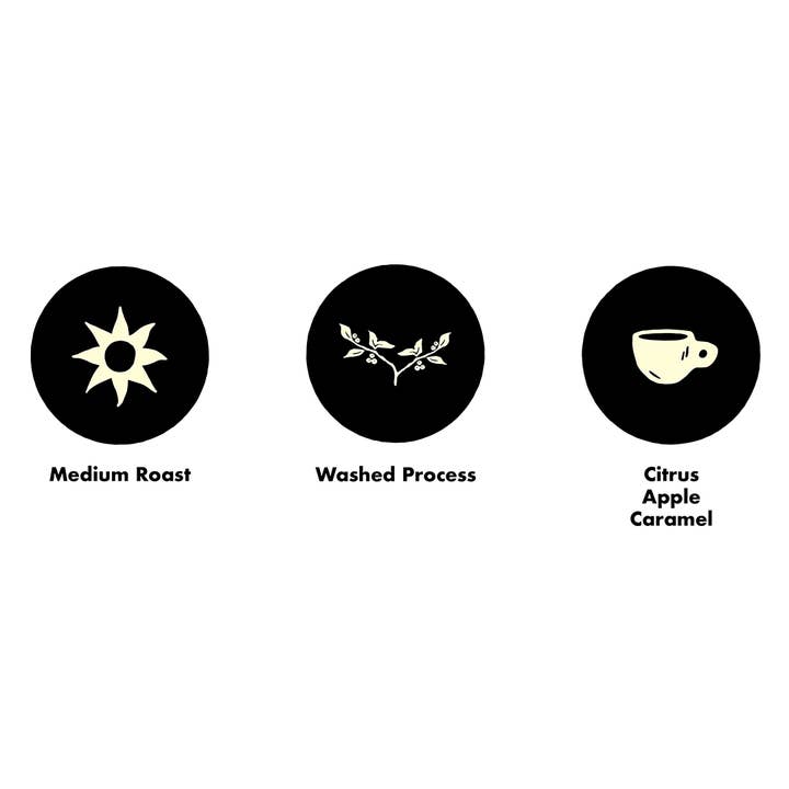 Joe Van Gogh Coffee - Wholesale Coffee Beans - Nicaragua Selva Negra (Single-Origin)4