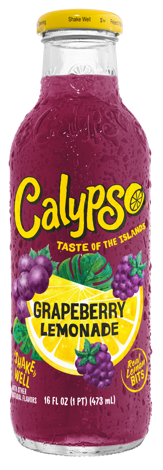 Oasis Snacks - Wholesale Fruit Juice - Calypso Lemonades, 16oz2