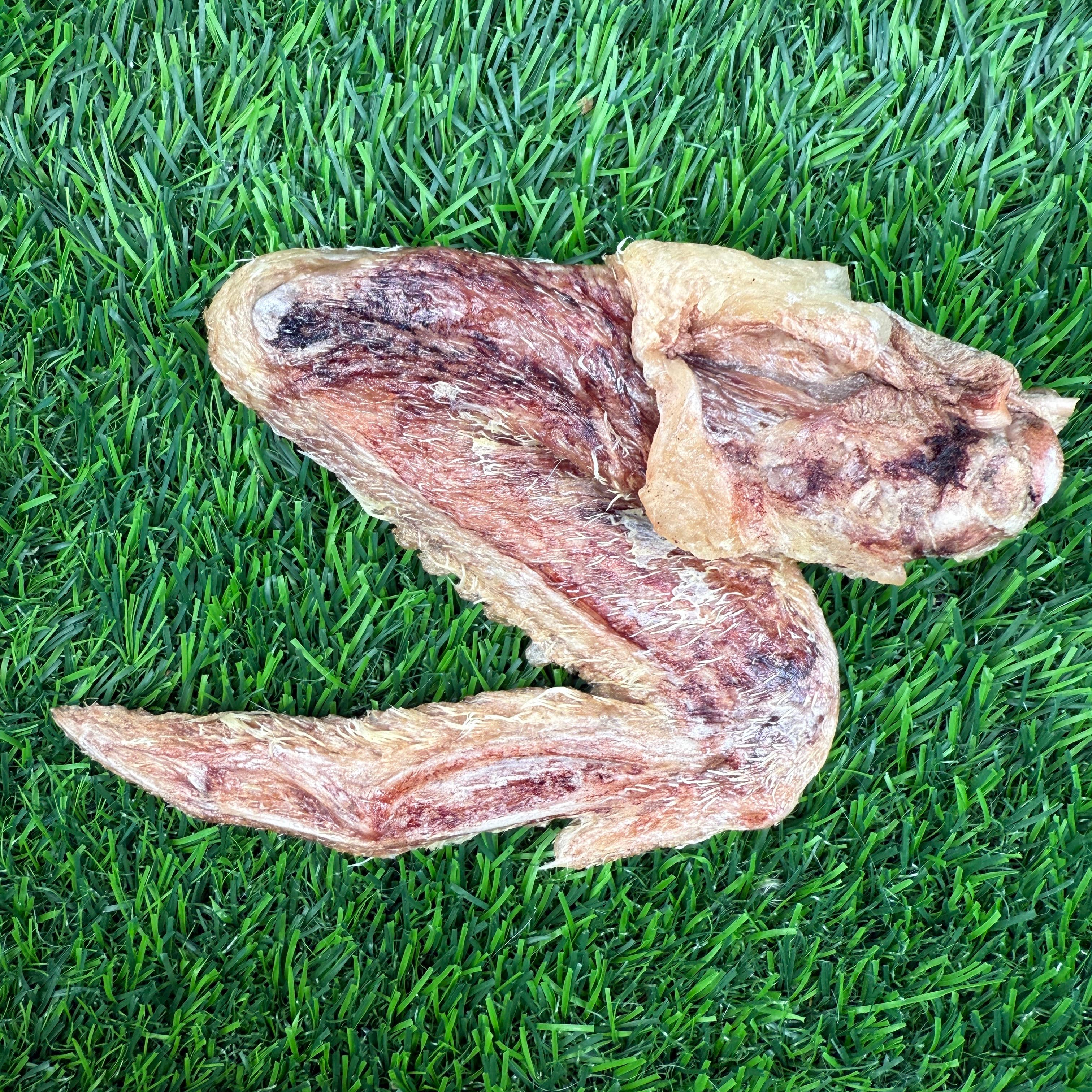 Golden Nibbles - Wholesale Pet Treats - Dog - Duck Wing - Freeze-Dried Treat/Chew for Dogs1