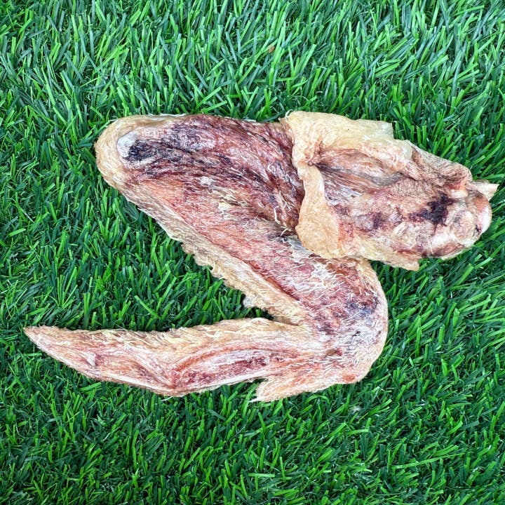 Golden Nibbles - Wholesale Pet Treats - Dog - Duck Wing - Freeze-Dried Treat/Chew for Dogs1