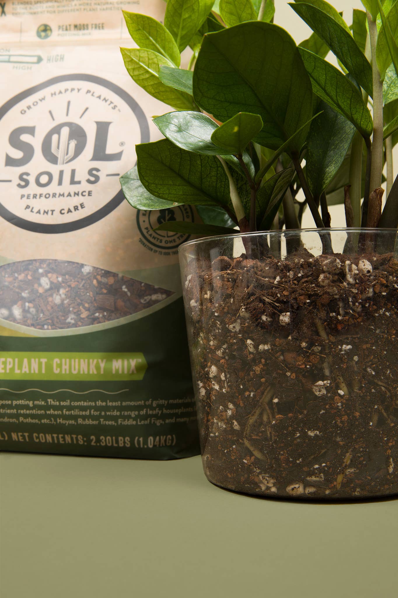 Sol Soils - Vente Terreau de plantation/rempotage - Mélange de terre (2 pintes) pour plantes d'intérieur (mélange aride/tropical)12