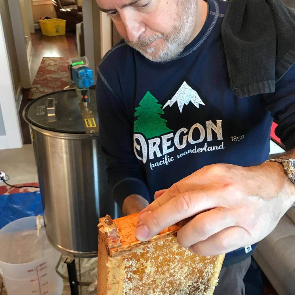 Little Bay Root - Wholesale Honey - LBRs Urban Portland Oregon | Natural Honey1