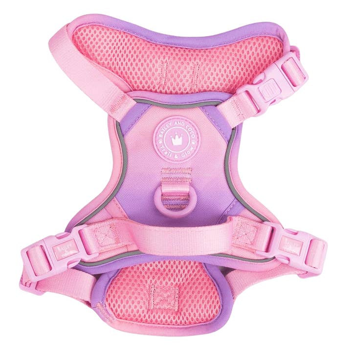 Trail & Glow Dog Harness - COLOUR DROPS® - Love that for you for wholesale by Bailey and Coco