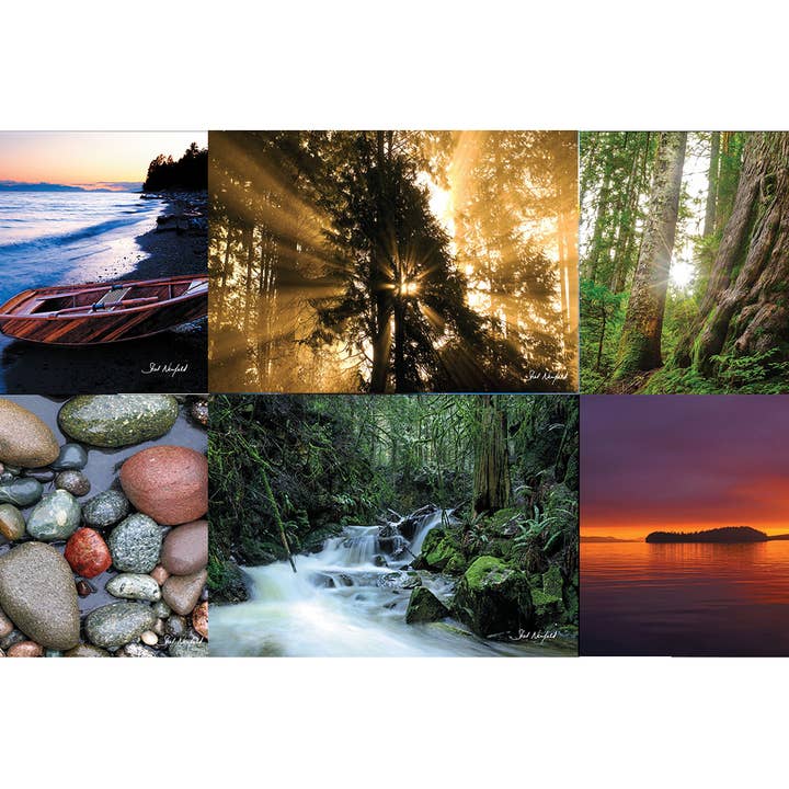 Wildart Choice Kollektion mit 12 verschiedenen Kartendesigns für den Großhandel von WildArt Photography Greeting Cards