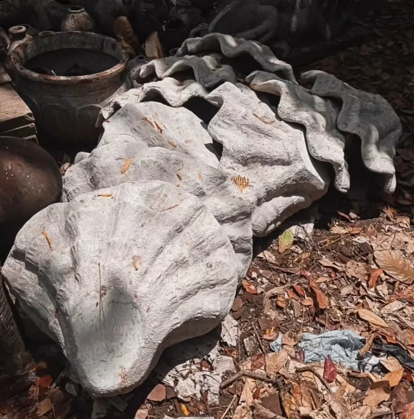 REMOVED BRAND - Wholesale Plant Pot - Vintage Terracotta shells 1