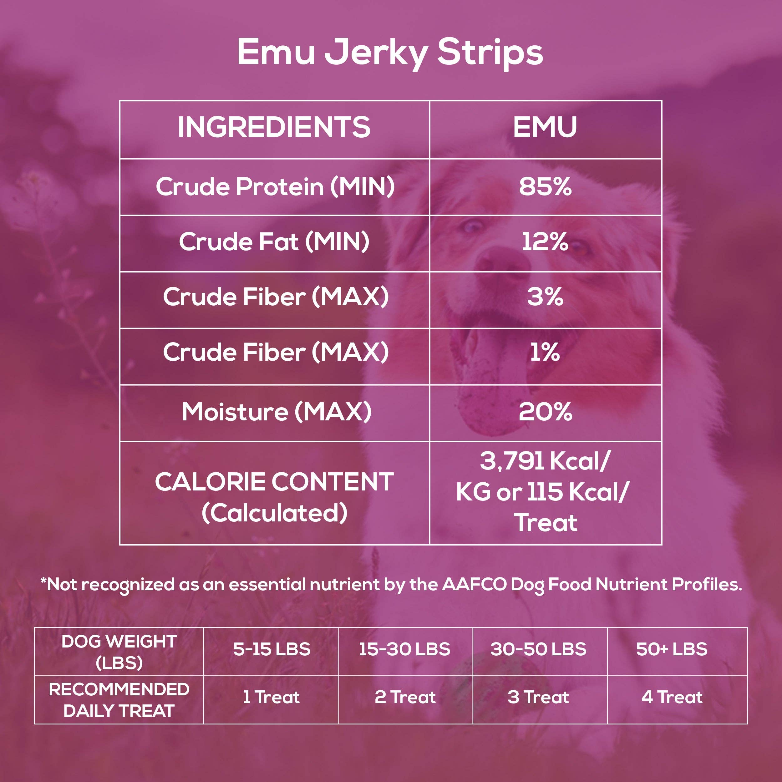 Outback Bones - Wholesale Pet Treats - Dog - Outback Emu Jerky Strips1