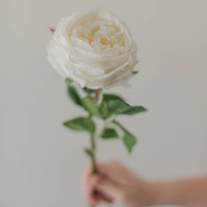 Eucalypt Co. - Wholesale Artificial flowers - Soft Touch White Rose2