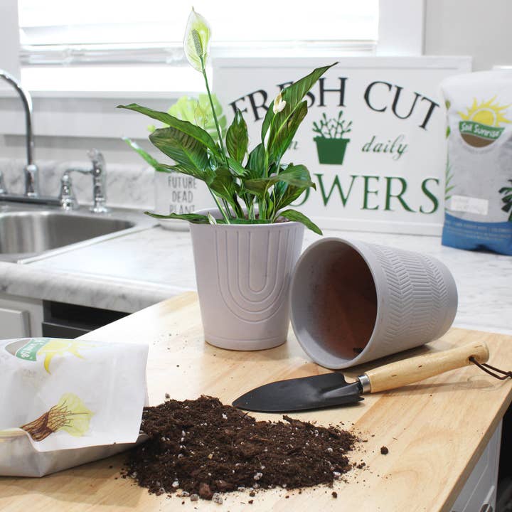 Kurated Korner - Wholesale Planting/Potting Soil - Soil Sunrise Peace Lily Potting Soil Mix
