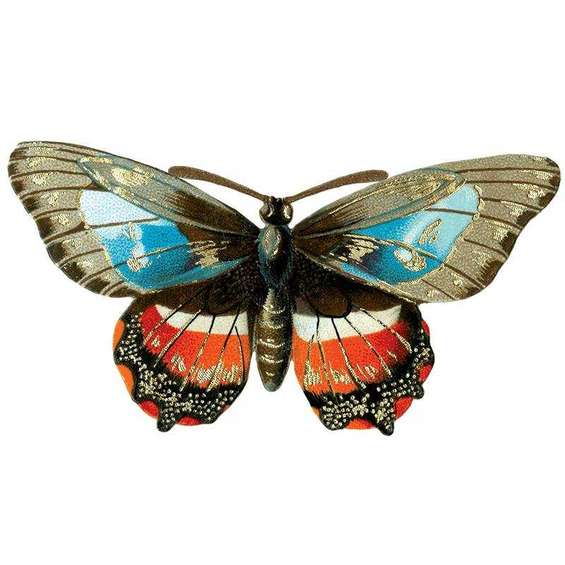 Laughing Elephant – Großhandel Aufkleber – Butterfly Box — Stickerbox für den täglichen Gebrauch12