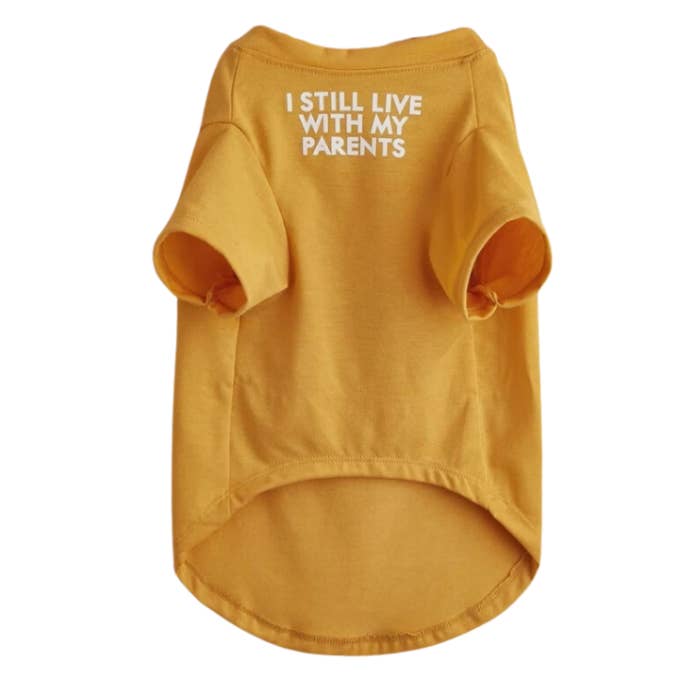 Mighty Pooch – wholesale T-shirt (graphic) – women's – I Still Live With My Parents T-Shirt3