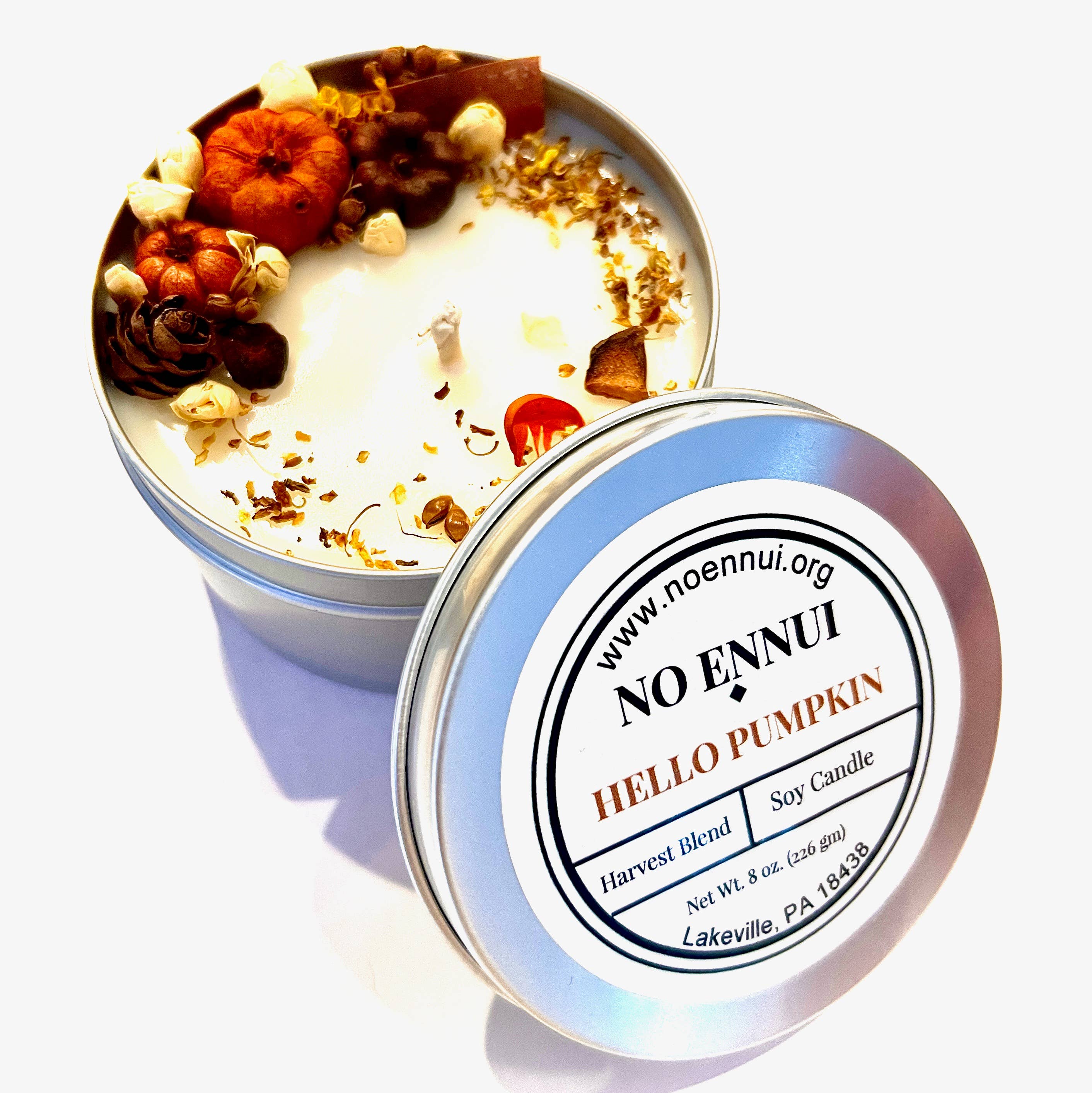 No Ennui - Wholesale Travel Candles - "Hello Pumpkin" Harvest Blend Fall/Autumn soy candle2