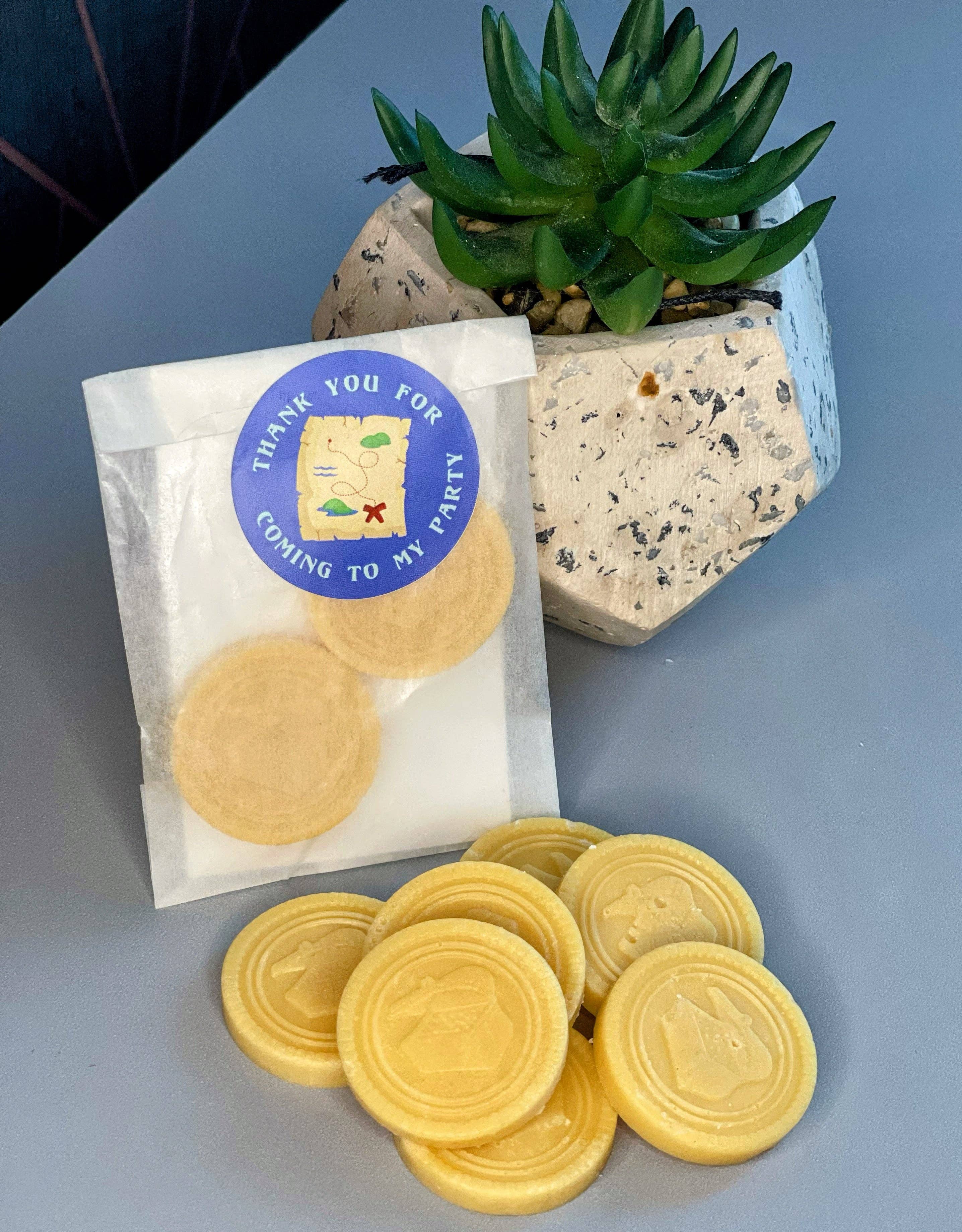 Poppy & Bear - Wholesale Party Favor - Treasure Chest Coin Party Bag Fillers1