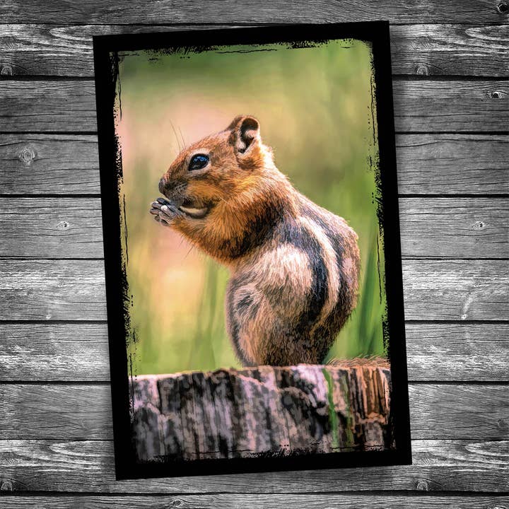 Chipmunk Postcard for wholesale by Christopher Arndt Postcard Co.