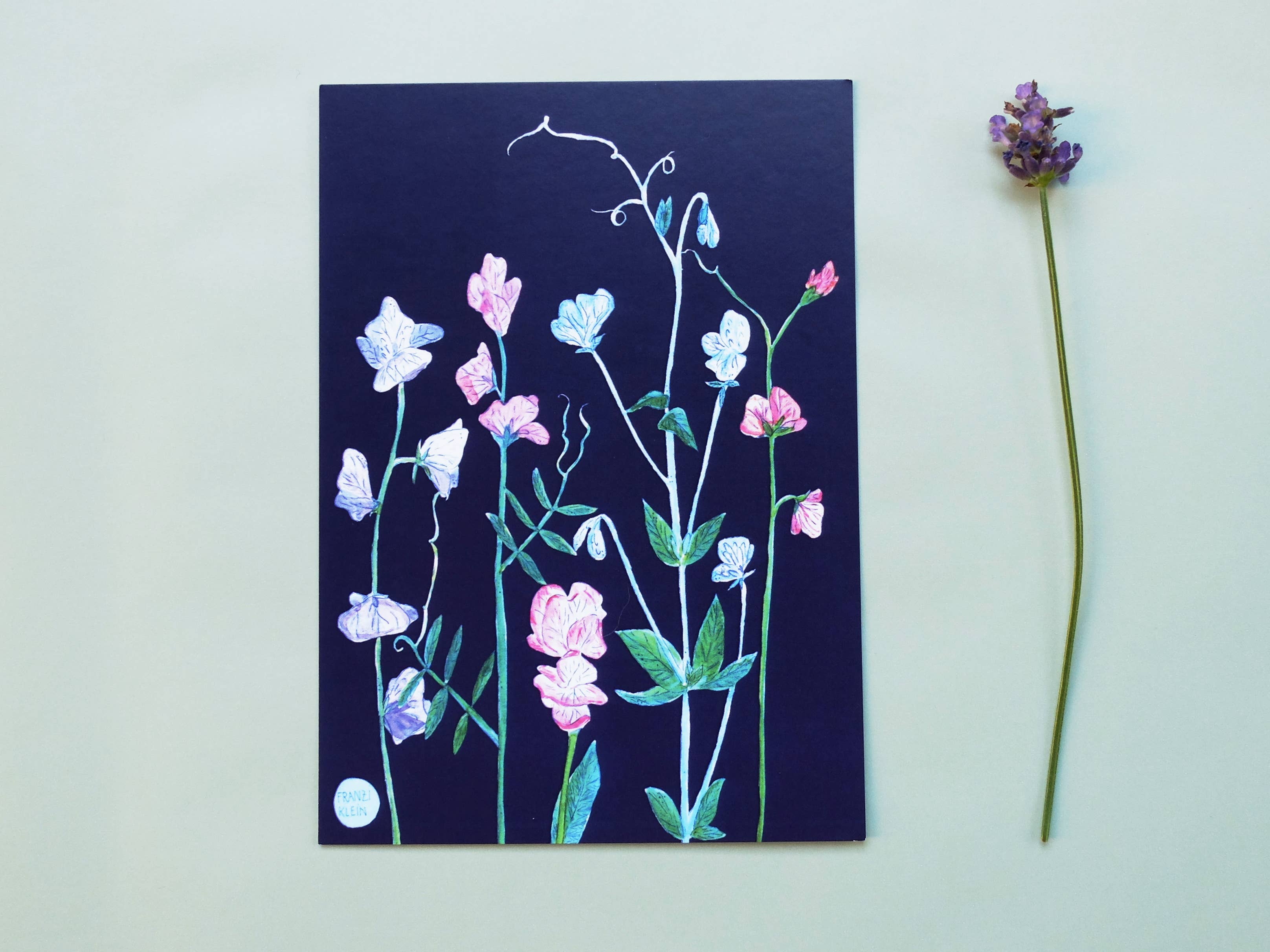 Wonder Of Today – wholesale Vykort – Vykort luktärter1