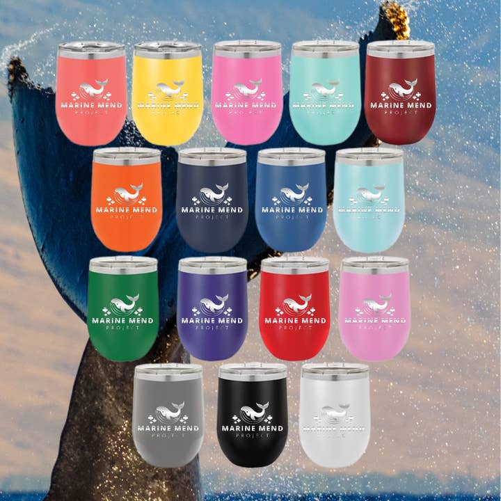 Whale Conservation Tumblers | 24 Bulk Tumblers | Whale Lover for wholesale by Marine Mend Project