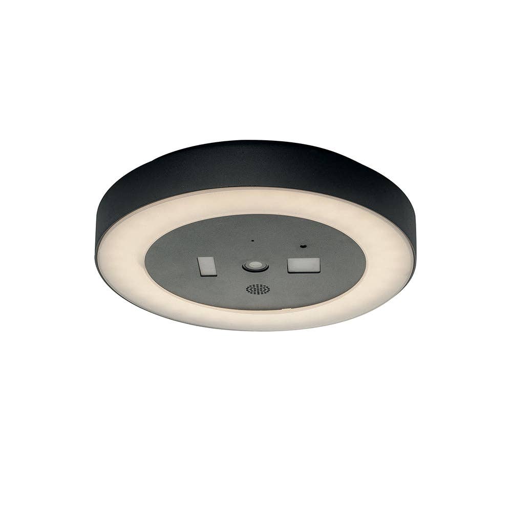 Gruppo F.T - Wholesale Speakers - 30W Zoom LED ceiling light with camera, WIFI and speaker