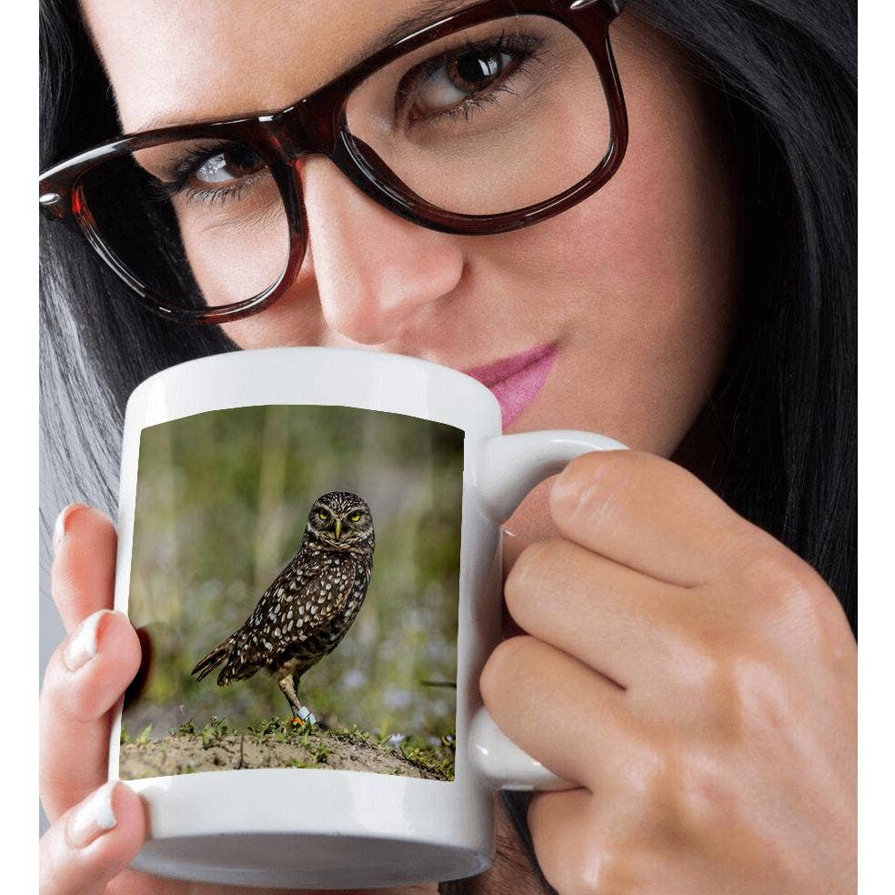 3dRose - Wholesale Coffee Mug - 3dRose, An adult burrowing owl looks on., Mug9