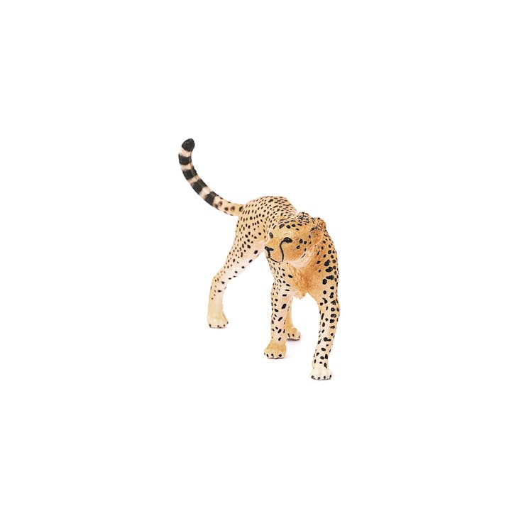 Schleich - Wholesale Figurine Toy - Kids - Cheetah Female Safari Animal Toy1